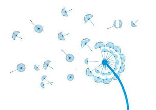 攜手長(zhǎng)春網(wǎng)站建設(shè)，打造企業(yè)專(zhuān)屬的數(shù)字化門(mén)戶(hù)